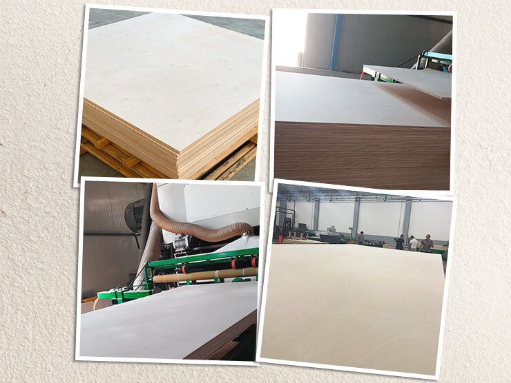 NF ELIT Warehouse in Ohio